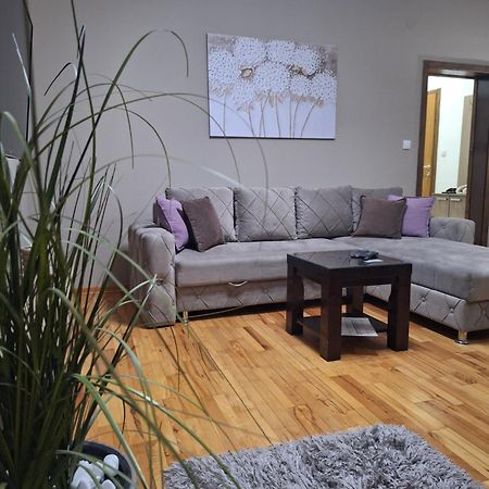 Apartmani Radulovic Vrnjacka Banja Phòng bức ảnh