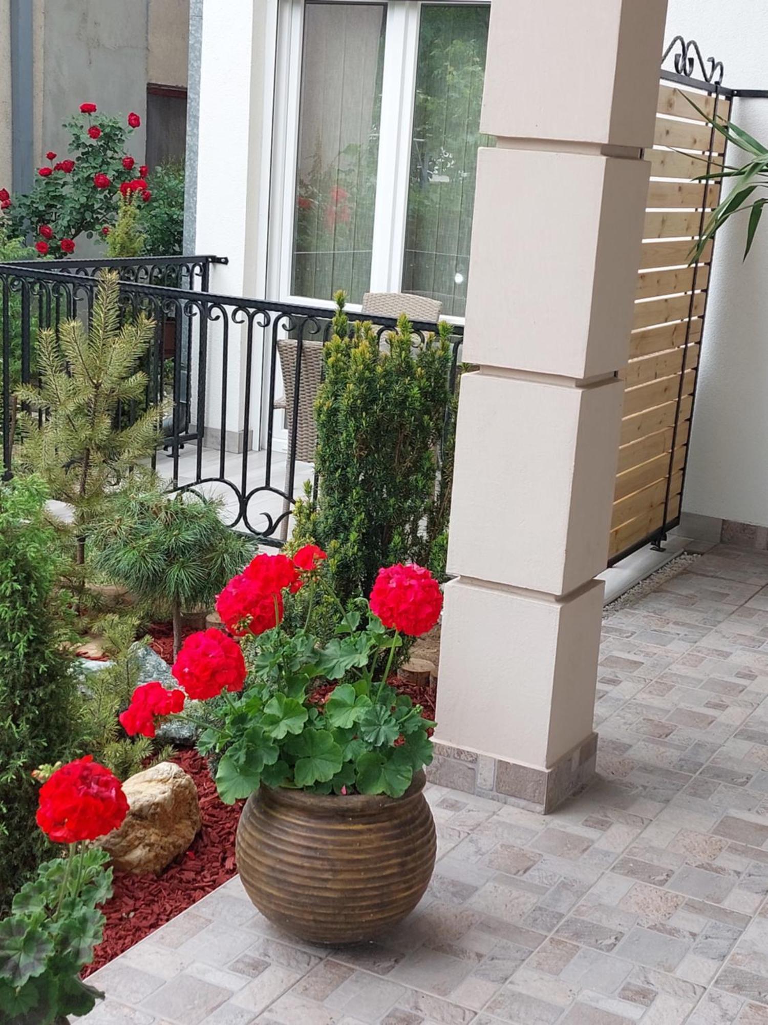 Apartmani Radulovic Vrnjacka Banja Phòng bức ảnh