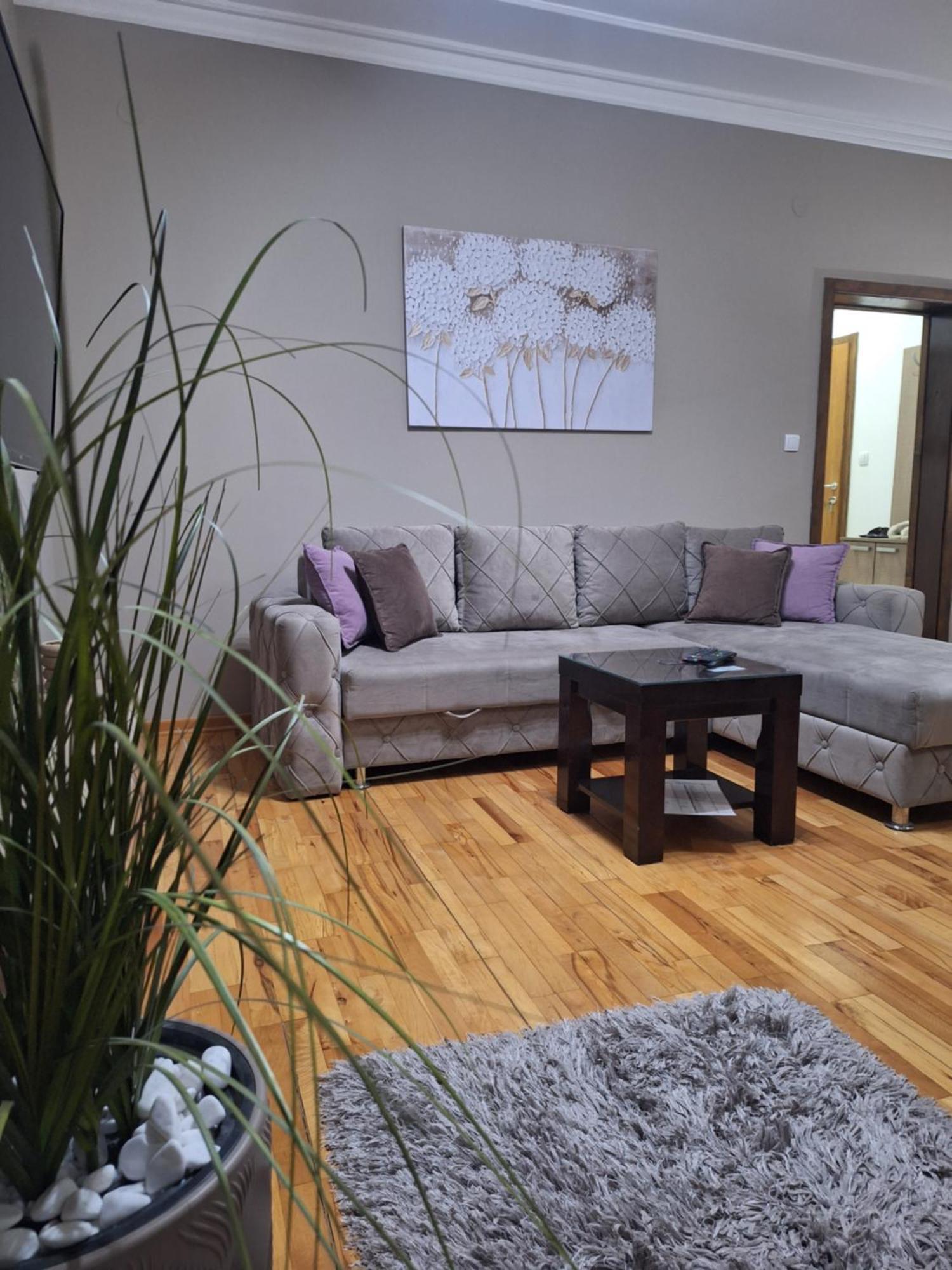 Apartmani Radulovic Vrnjacka Banja Phòng bức ảnh