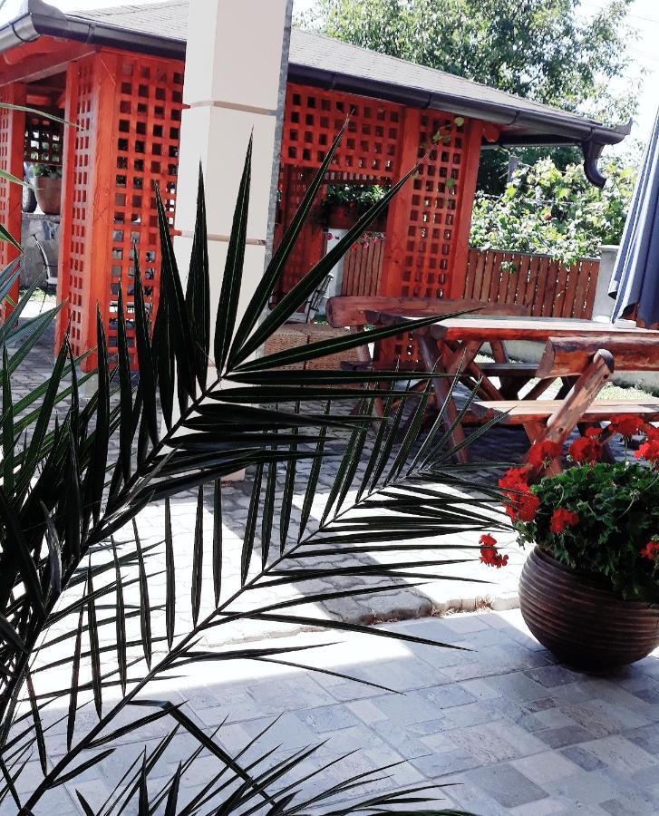 Apartmani Radulovic Vrnjacka Banja Ngoại thất bức ảnh